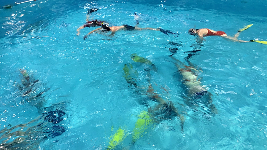 Hokej pod wodą Walenie Siemianowice Śląskie Trening 5 XI 2022. Koniec Walenia czyli Amatorska Liga Hokeja Pod Wodą